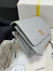 STRASS WOC ENTRUPY BAG 19 IN SPANISH GREY CALFSKIN GOLD HARDWARE