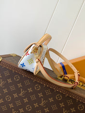 DIANE NANO BAG 19 IN MULTICOLOR MONOGRAM CANVAS AND COWHIDE