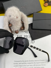 MONTAIGNE SUNGLASS CD5302 IN ACETATE EMBOSSED LOGO